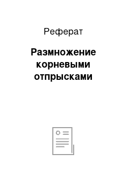 Реферат: Размножение корневыми отпрысками