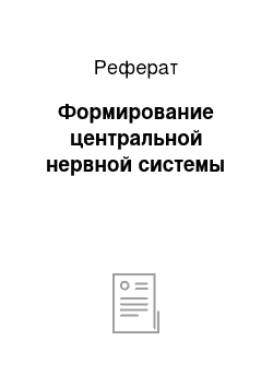 Реферат: Формирование центральной нервной системы