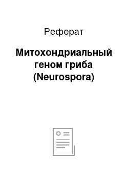 Реферат: Митохондриальный геном гриба (Neurospora)