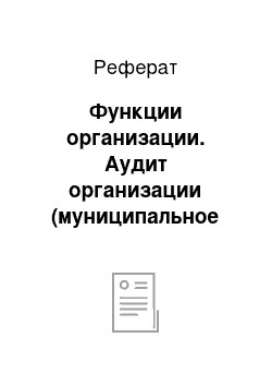 Реферат: Функции организации. Аудит организации (муниципальное учреждение)