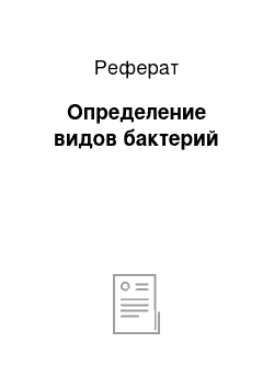 Реферат: Определение видов бактерий