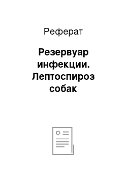 Реферат: Резервуар инфекции. Лептоспироз собак