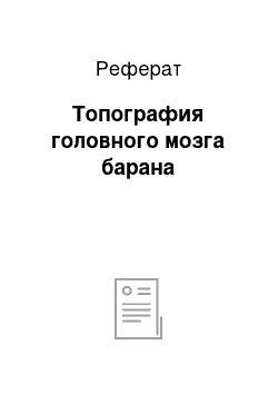 Реферат: Топография головного мозга барана