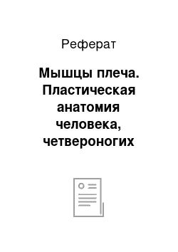 Реферат: Мышцы плеча. Пластическая анатомия человека, четвероногих животных и птиц