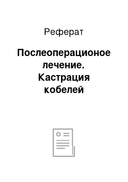 Реферат: Послеоперационое лечение. Кастрация кобелей