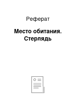 Реферат: Место обитания. Стерлядь