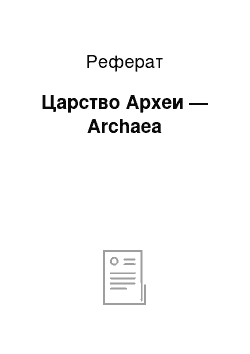 Реферат: Царство Археи — Archaea