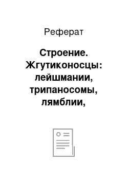 Реферат: Строение. Жгутиконосцы: лейшмании, трипаносомы, лямблии, трихомонады. Роль в патологии человека и лабораторная диагностика