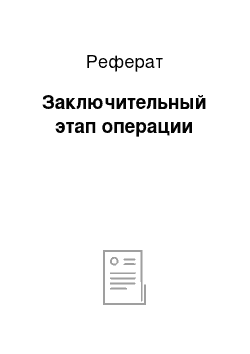 Реферат: Заключительный этап операции