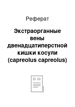 Реферат: Экстраорганные вены двенадцатиперстной кишки косули (capreolus capreolus)