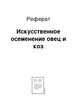 Реферат: Искусственное осеменение овец и коз