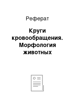 Реферат: Круги кровообращения. Морфология животных