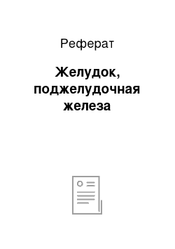 Реферат: Желудок, поджелудочная железа