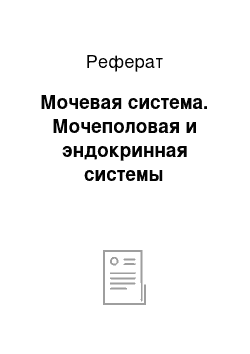 Реферат: Мочевая система. Мочеполовая и эндокринная системы