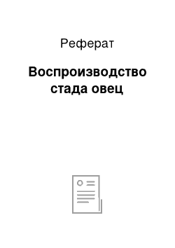 Реферат: Воспроизводство стада овец