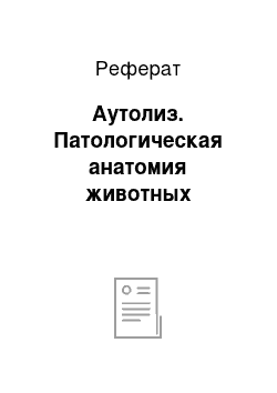 Реферат: Аутолиз. Патологическая анатомия животных