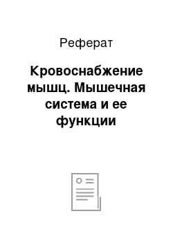 Реферат: Кровоснабжение мышц. Мышечная система и ее функции