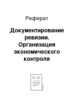 Реферат: Документирование ревизии. Организация экономического контроля