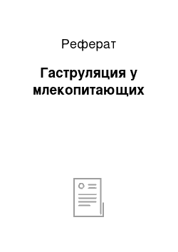 Реферат: Гаструляция у млекопитающих