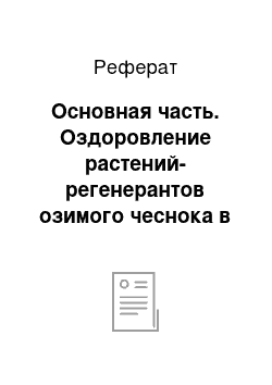 Реферат: Основная часть. Оздоровление растений-регенерантов озимого чеснока в условиях культуры in vitro при помощи рибавирина