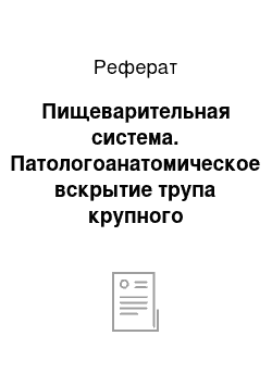 Реферат: Пищеварительная система. Патологоанатомическое вскрытие трупа крупного рогатого скота