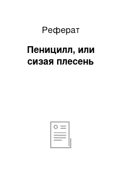 Реферат: Пеницилл, или сизая плесень