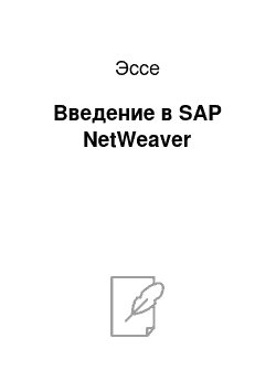 Эссе: Введение в SAP NetWeaver