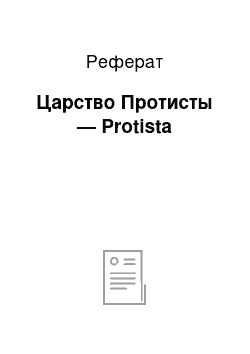 Реферат: Царство Протисты — Protista