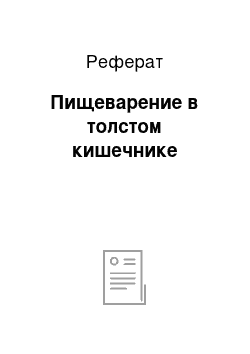 Реферат: Пищеварение в толстом кишечнике