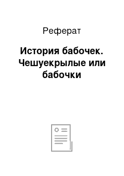 Реферат: История бабочек. Чешуекрылые или бабочки