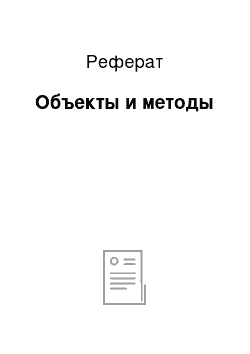 Реферат: Объекты и методы