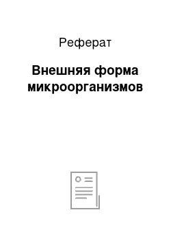 Реферат: Внешняя форма микроорганизмов