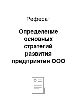 Реферат: Определение основных стратегий развития предприятия ООО «Мастер Билл»