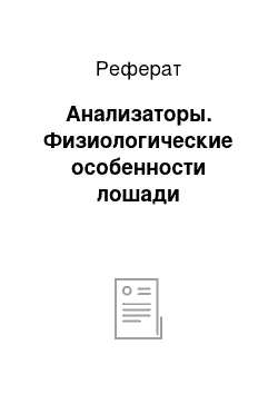 Реферат: Анализаторы. Физиологические особенности лошади