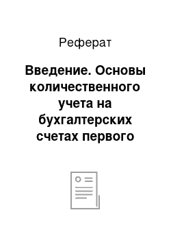 Реферат: Введение. Основы количественного учета на бухгалтерских счетах первого порядка