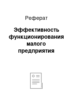 Реферат: Эффективность функционирования малого предприятия