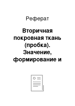 Реферат: Вторичная покровная ткань (пробка). Значение, формирование и строение