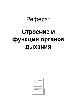 Реферат: Строение и функции органов дыхания