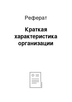 Реферат: Краткая характеристика организации