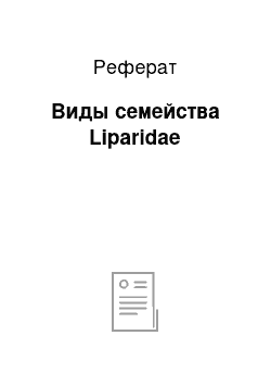 Реферат: Виды семейства Liparidae