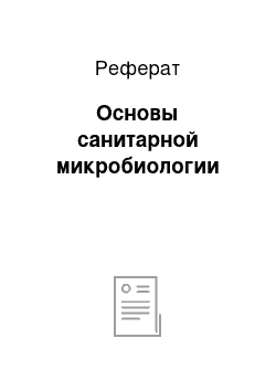 Реферат: Основы санитарной микробиологии