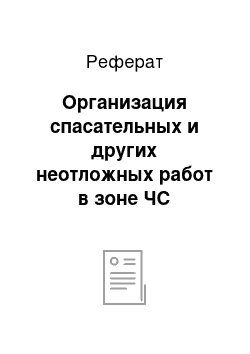 Реферат: Организация спасательных и других неотложных работ в зоне ЧС