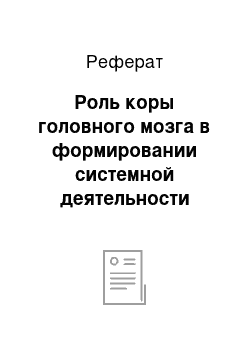 Реферат: Роль коры головного мозга в формировании системной деятельности организма