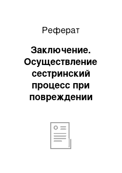 Реферат: Заключение. Осуществление сестринский процесс при повреждении спинного мозга