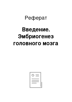 Реферат: Введение. Эмбриогенез головного мозга