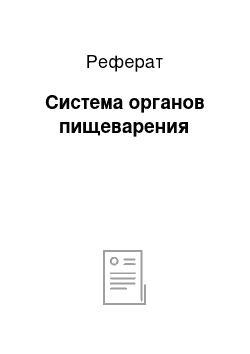 Реферат: Система органов пищеварения