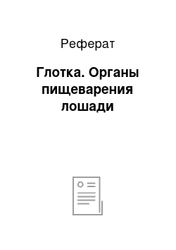 Реферат: Глотка. Органы пищеварения лошади