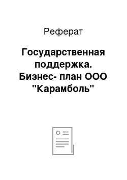 Реферат: Государственная поддержка. Бизнес-план ООО "Карамболь"