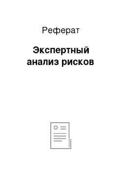 Реферат: Экспертный анализ рисков