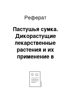 Реферат: Пастушья сумка. Дикорастущие лекарственные растения и их применение в медицине